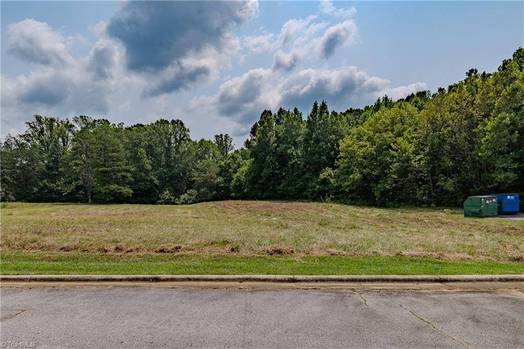 Tbd Heatherly Creek Drive Property Photo 1