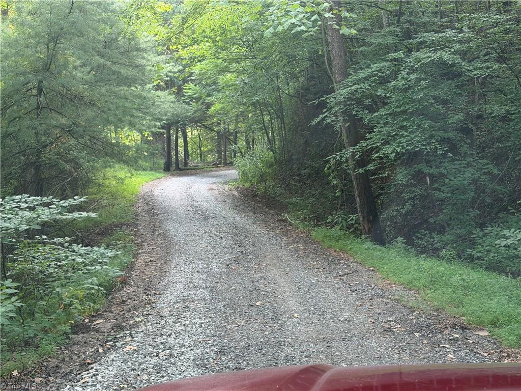 0000 N Old Nc Highway 16 Property Photo 6