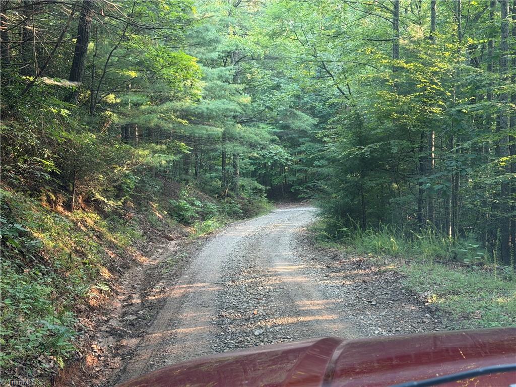 0000 N Old Nc Highway 16 Property Photo 7