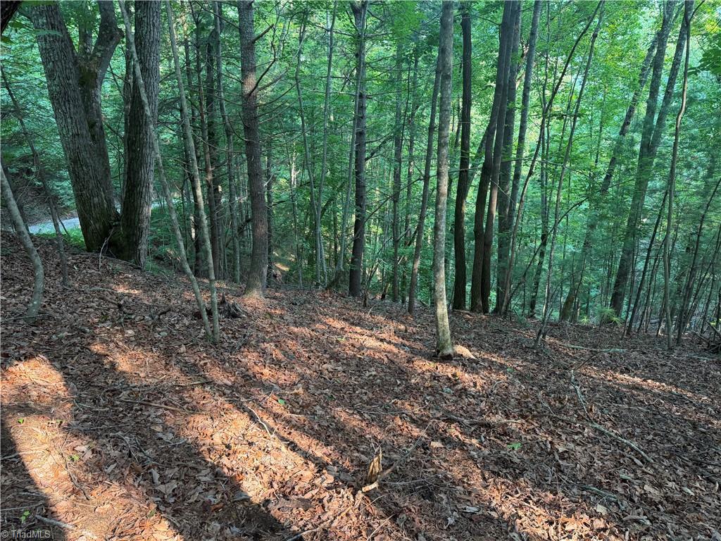 0000 N Old Nc Highway 16 Property Photo 17