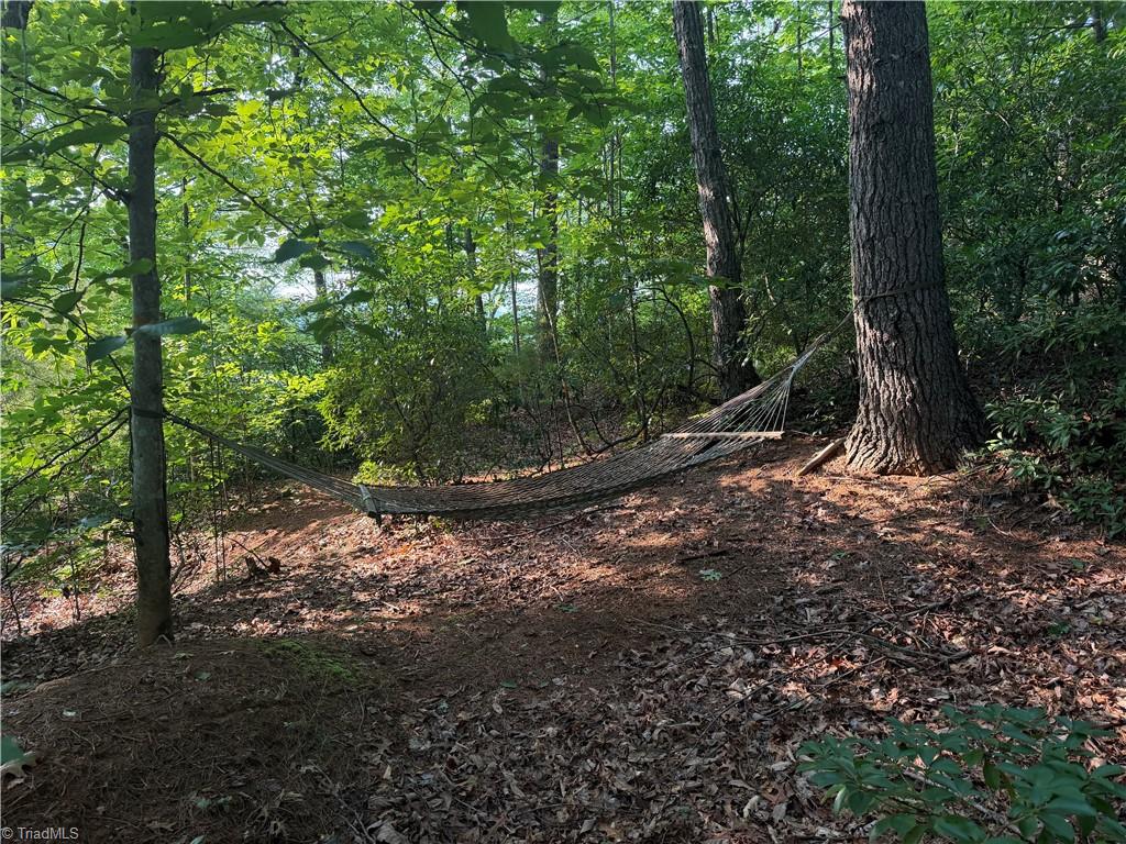0000 N Old Nc Highway 16 Property Photo 19