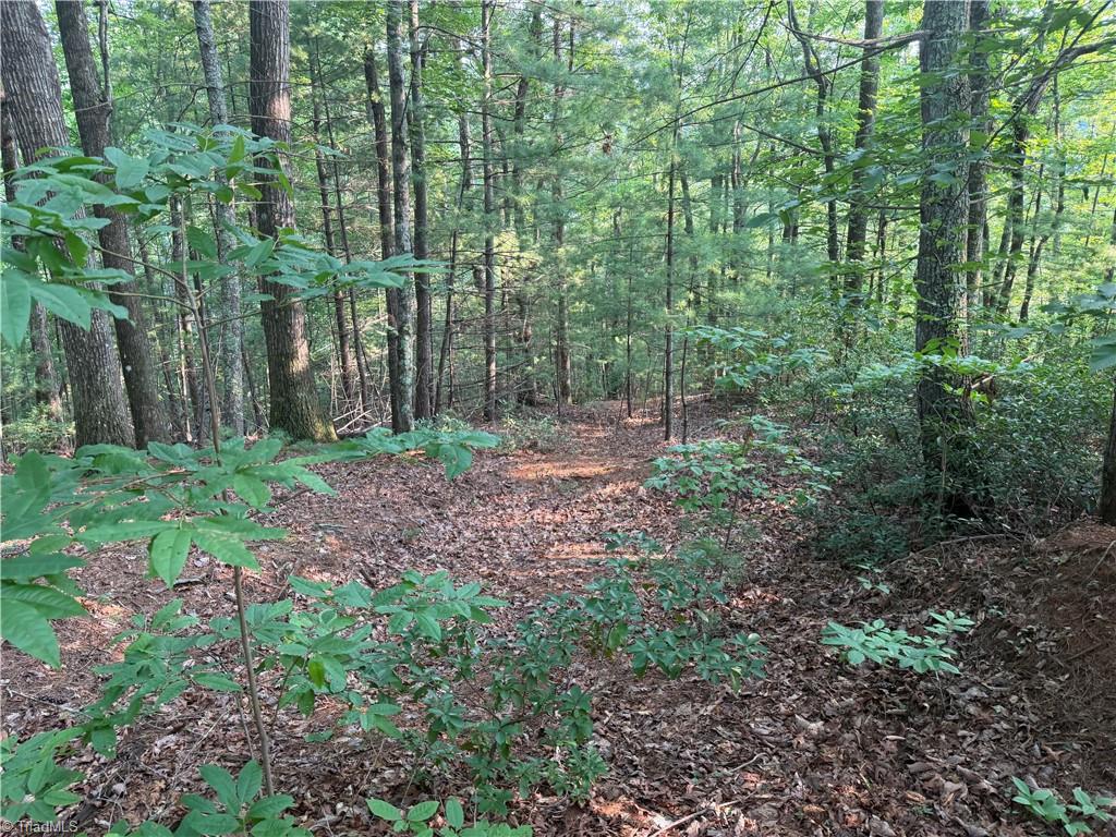 0000 N Old Nc Highway 16 Property Photo 20