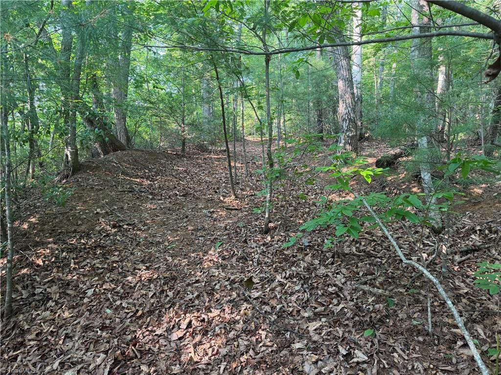 0000 N Old Nc Highway 16 Property Photo 23