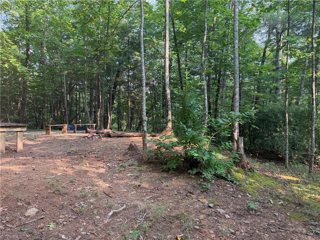 0000 N Old Nc Highway 16 Property Photo 25