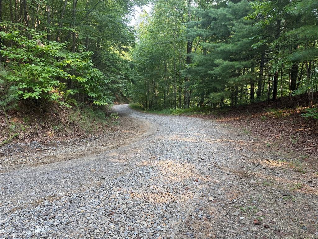 0000 N Old Nc Highway 16 Property Photo 33