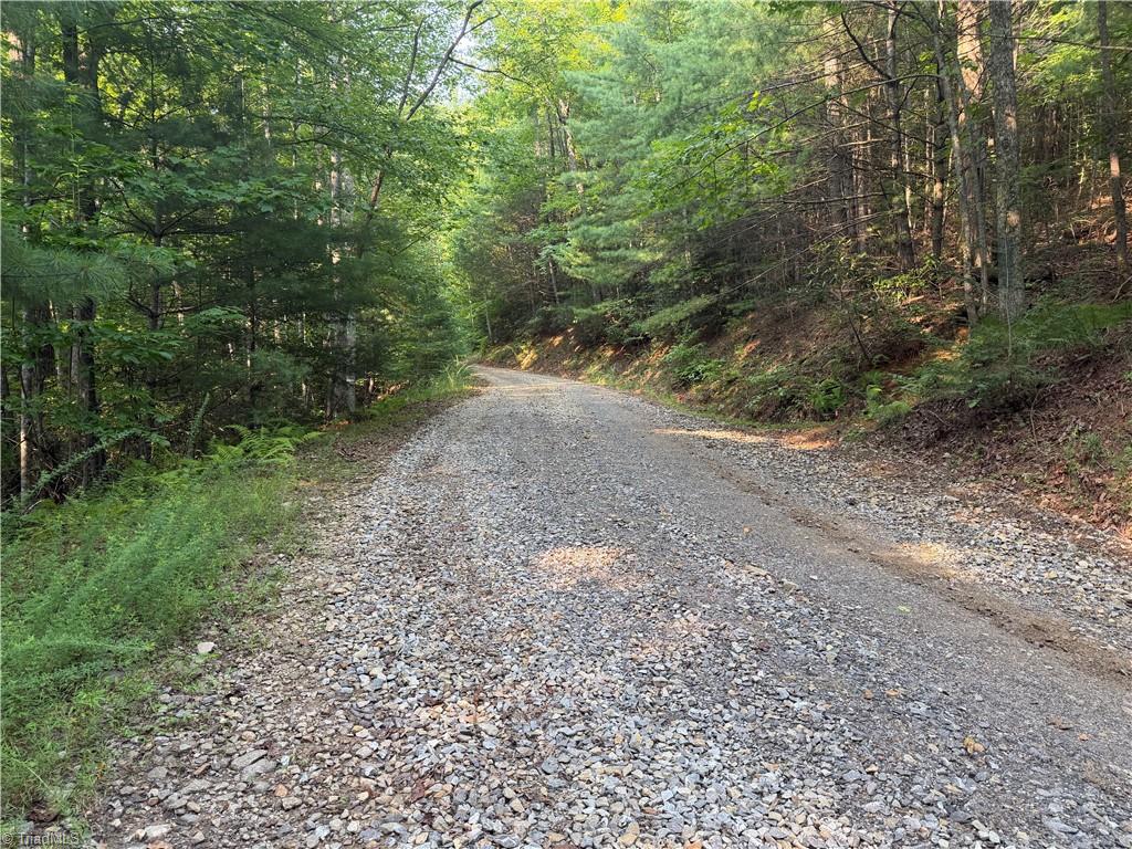 0000 N Old Nc Highway 16 Property Photo 34