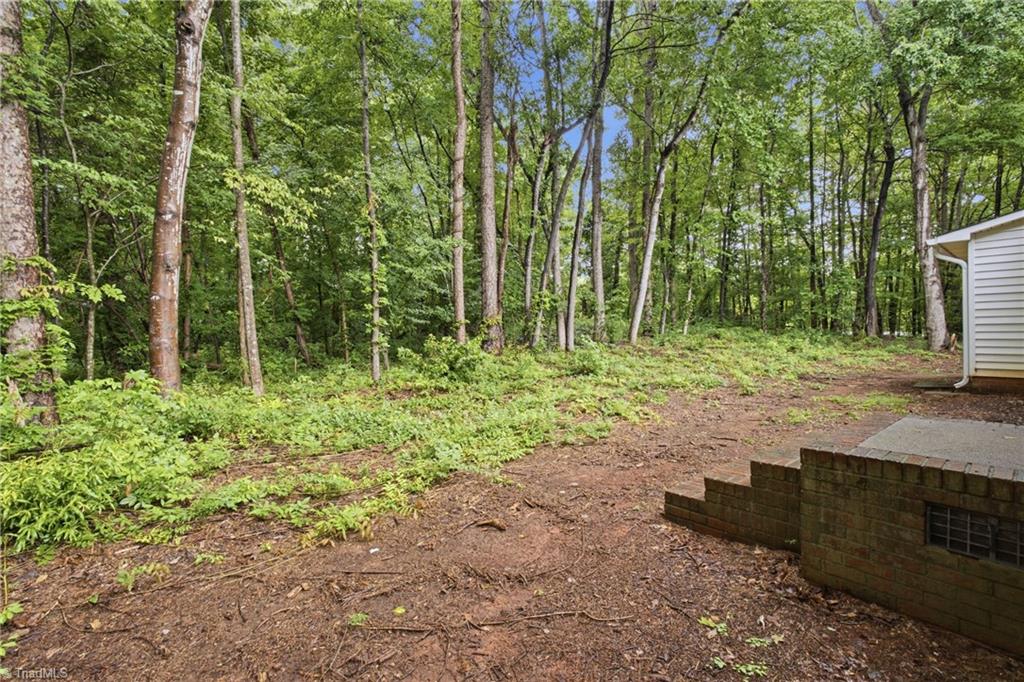 723 Branson Mill Road Property Photo 20