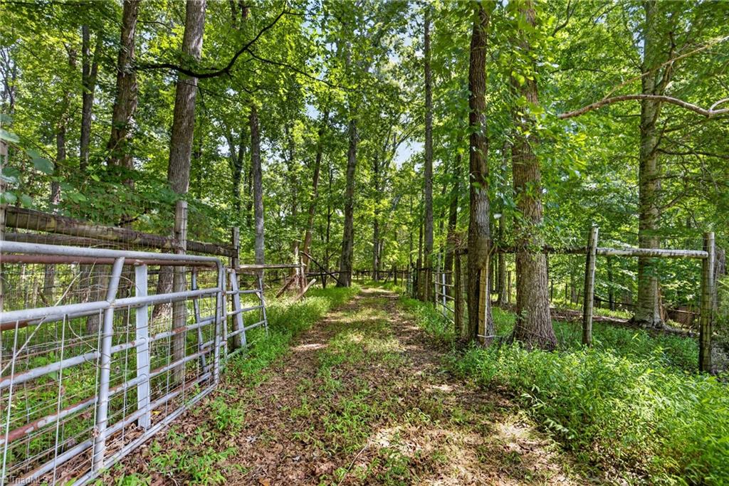 4262 Nc Highway 49 S Property Photo 29