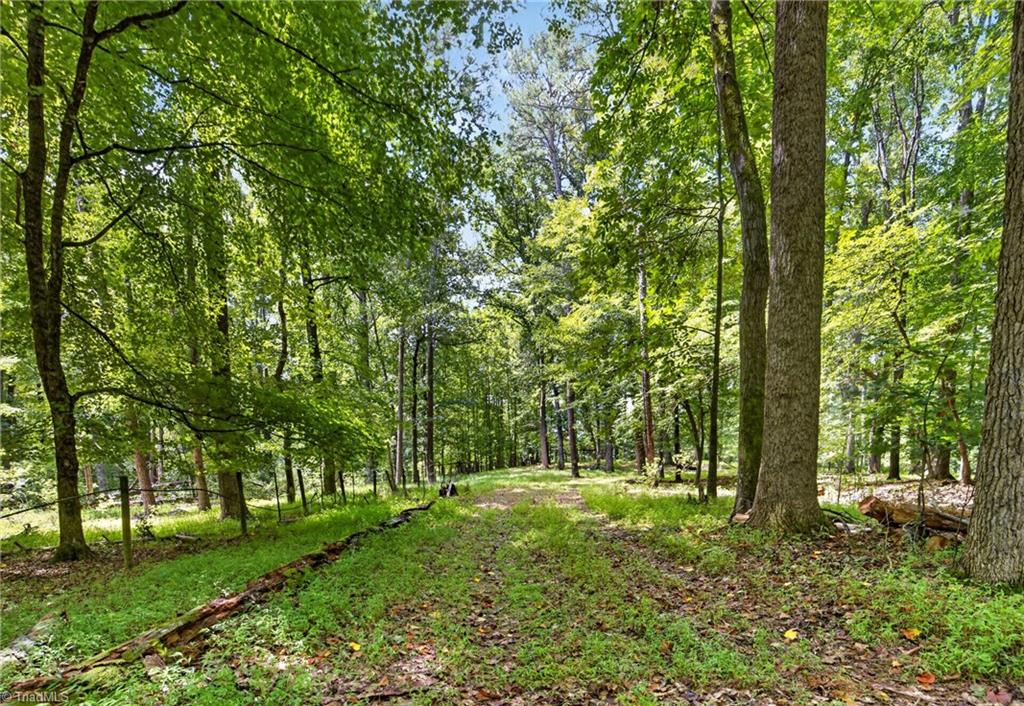 4262 Nc Highway 49 S Property Photo 32