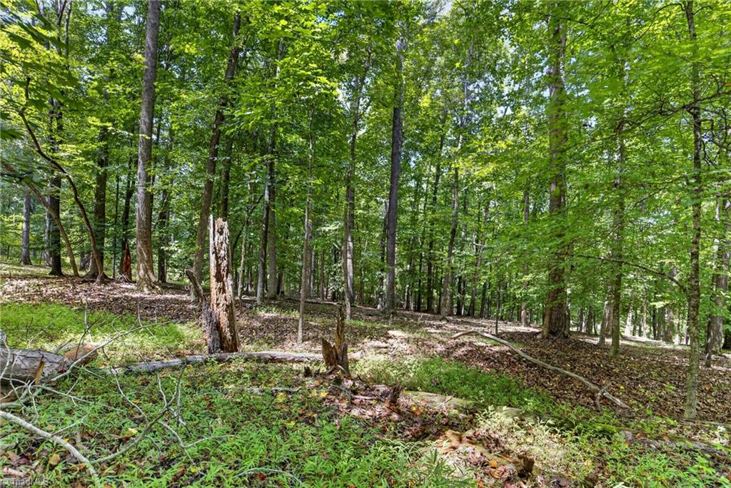 4262 Nc Highway 49 S Property Photo 46