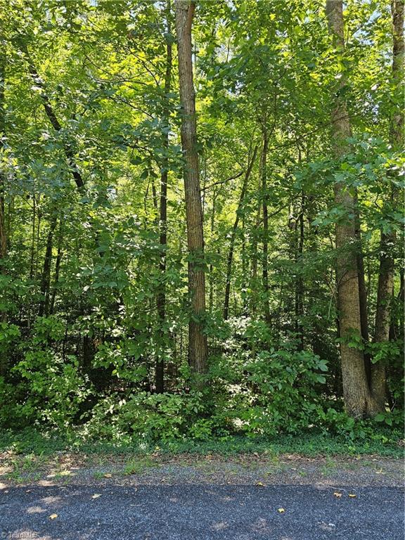 Lot 408 Pine Road Property Photo 1