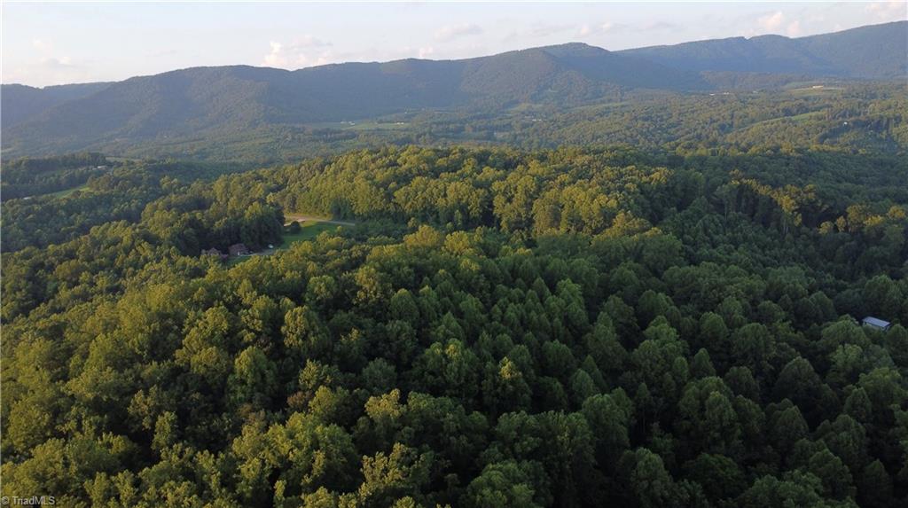 4749 Wards Gap Road Property Photo 10