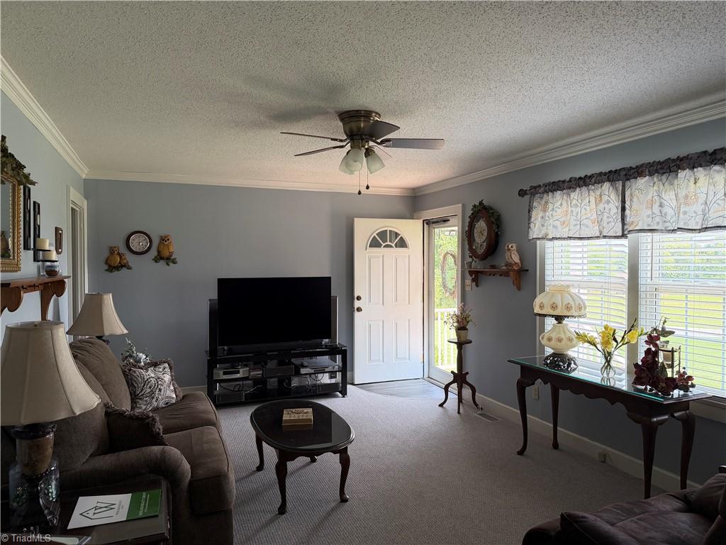 10317 Nc Highway 49 S Property Photo 19