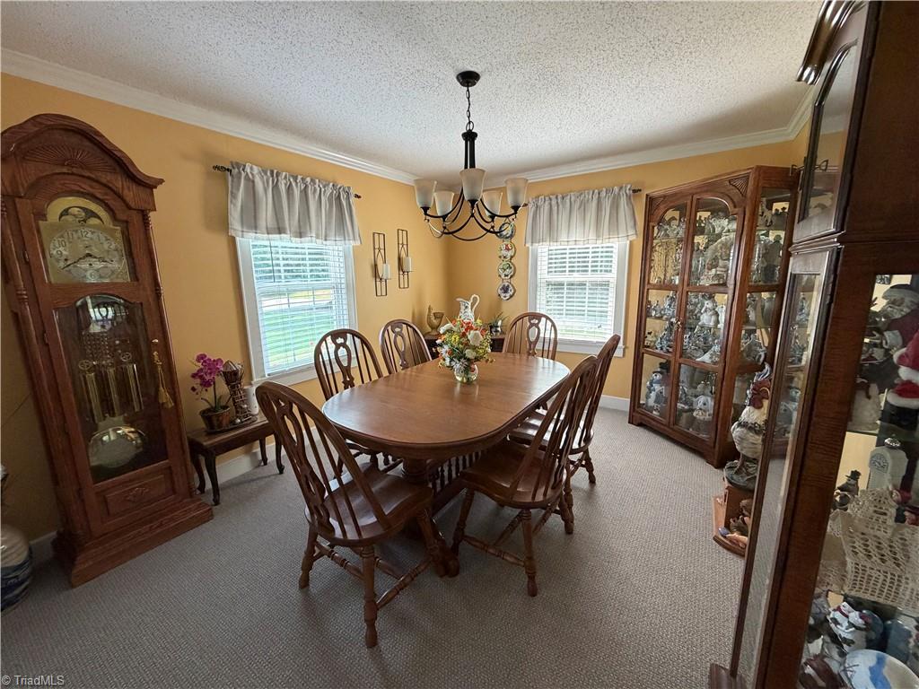 10317 Nc Highway 49 S Property Photo 21