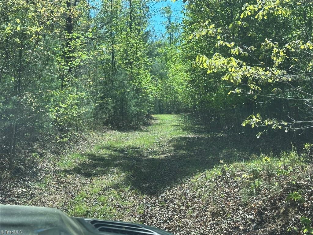 000 Nc Highway 268 Property Photo 6