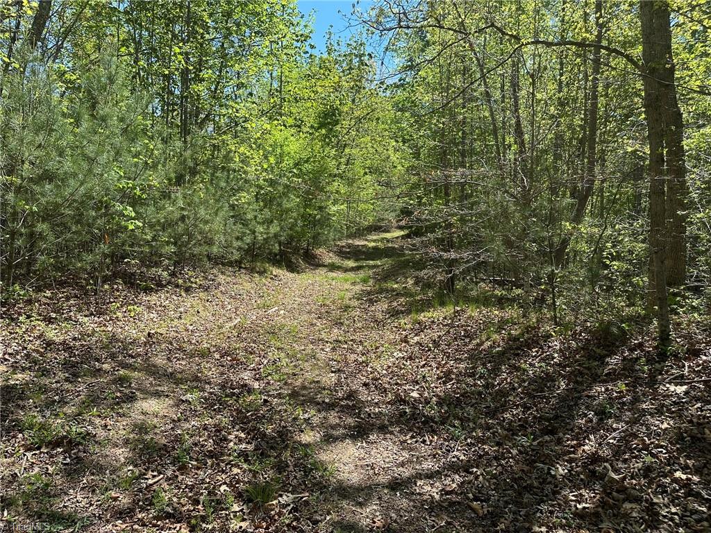 000 Nc Highway 268 Property Photo 8