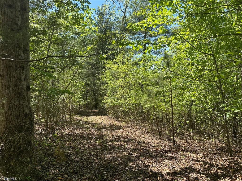 000 Nc Highway 268 Property Photo 9