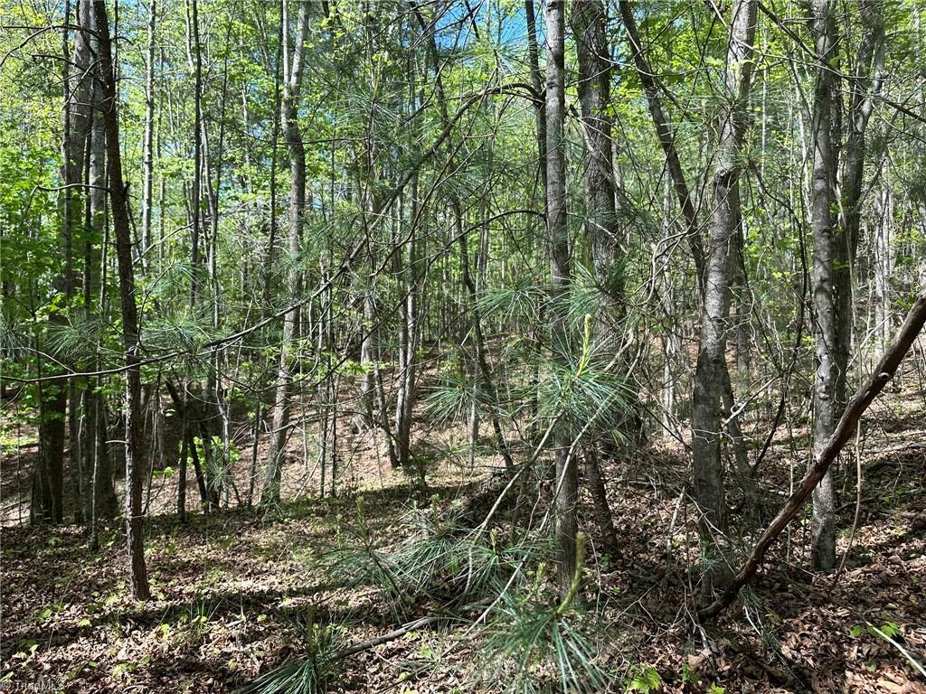 000 Nc Highway 268 Property Photo 10