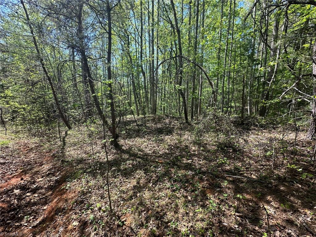 000 Nc Highway 268 Property Photo 11