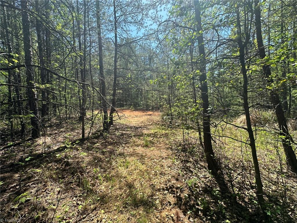000 Nc Highway 268 Property Photo 12