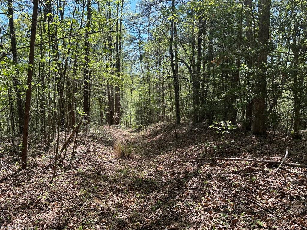000 Nc Highway 268 Property Photo 13
