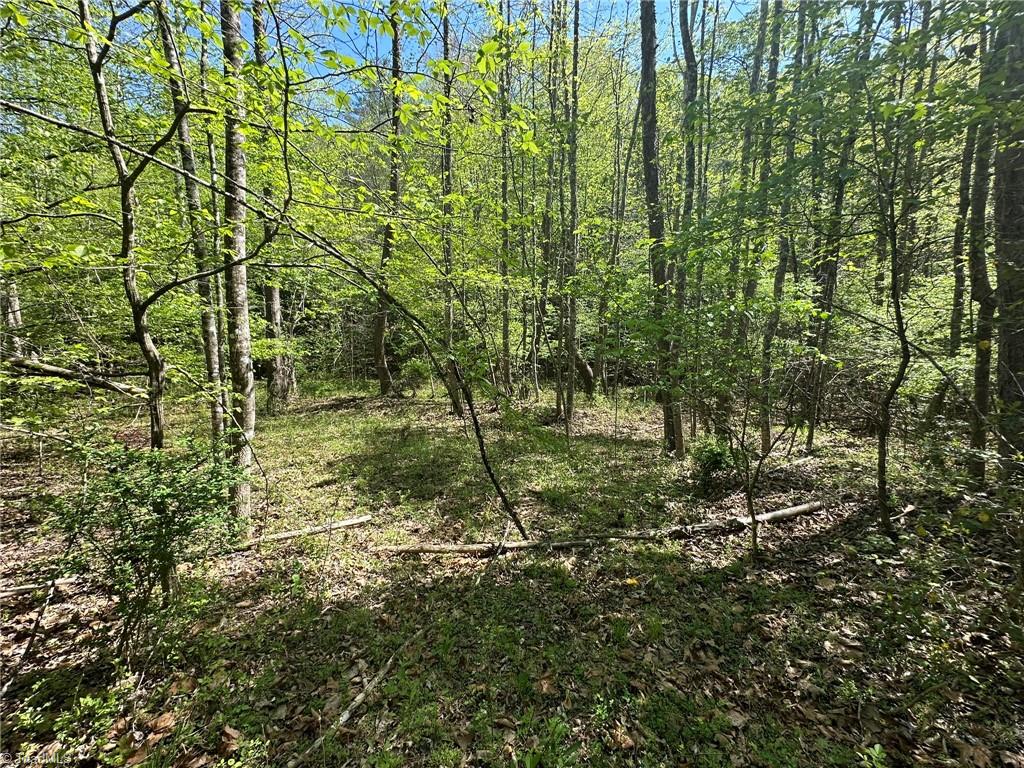 000 Nc Highway 268 Property Photo 14