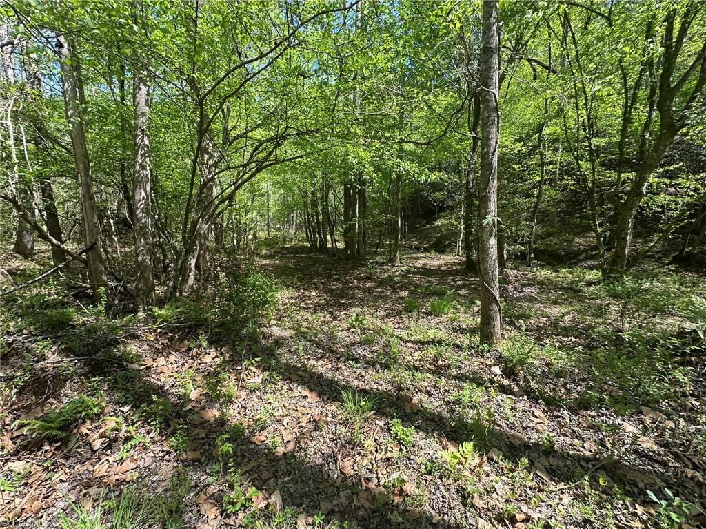 000 Nc Highway 268 Property Photo 15