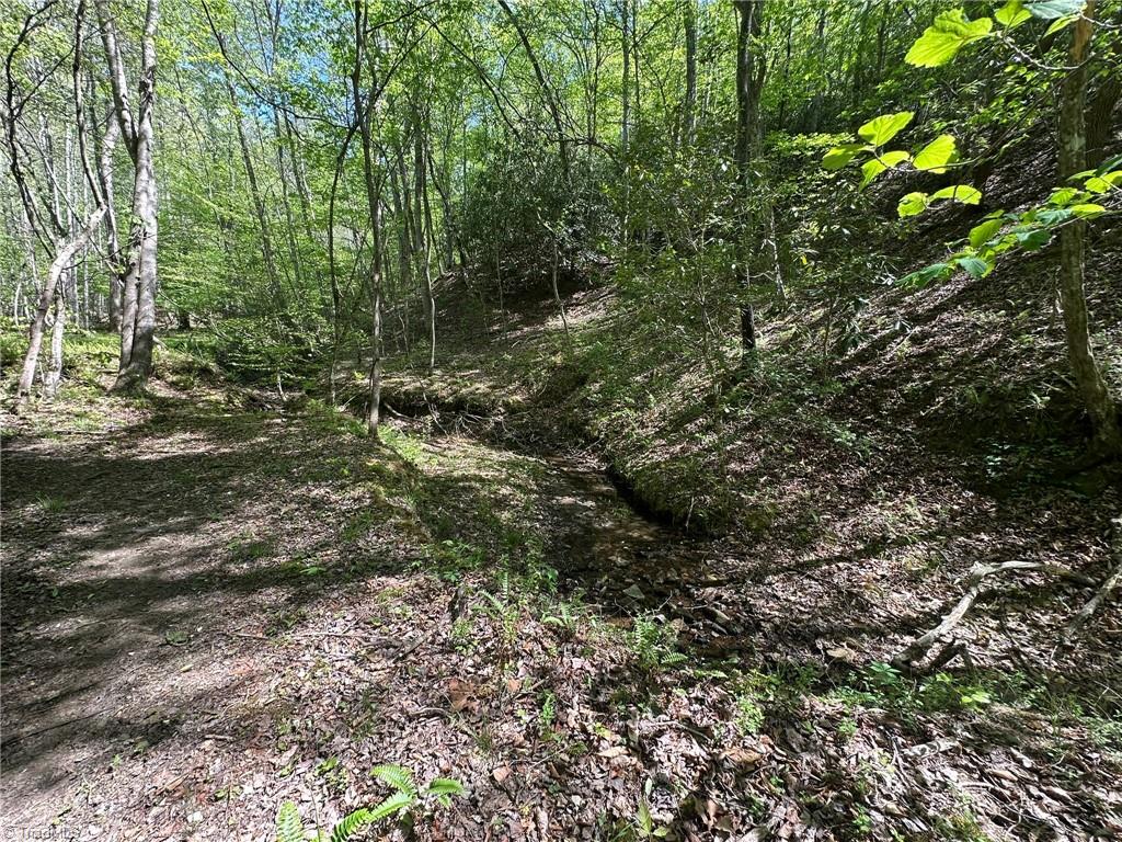 000 Nc Highway 268 Property Photo 16