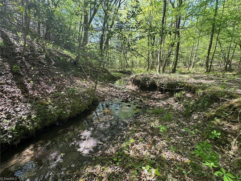 000 Nc Highway 268 Property Photo 17