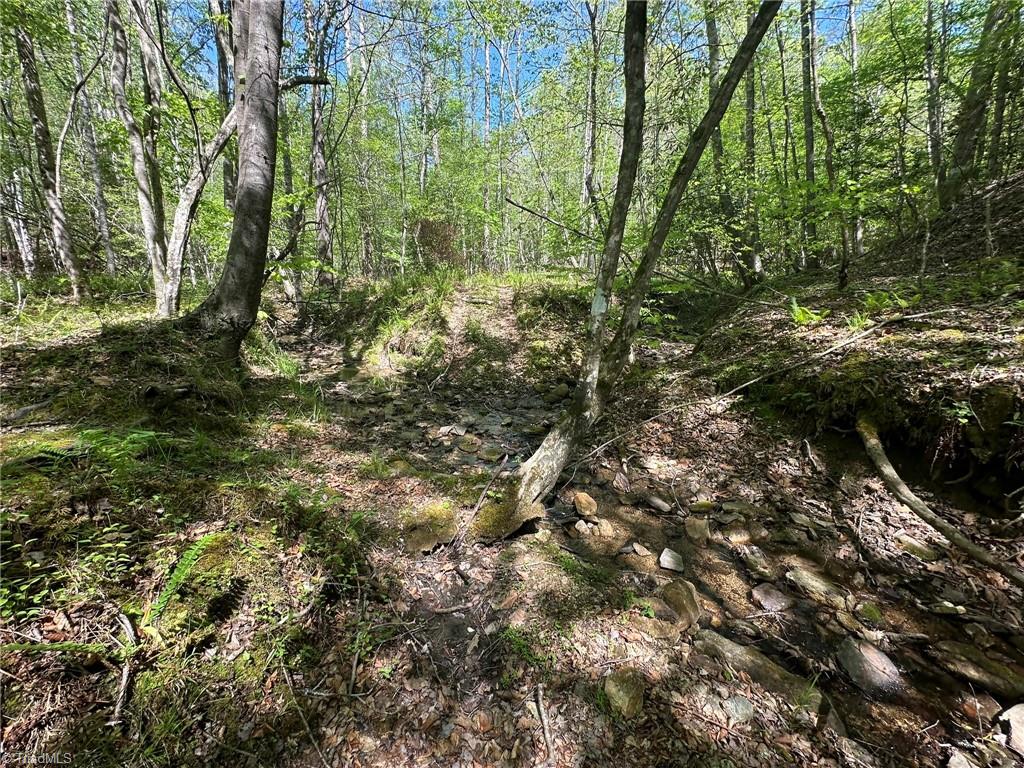 000 Nc Highway 268 Property Photo 18
