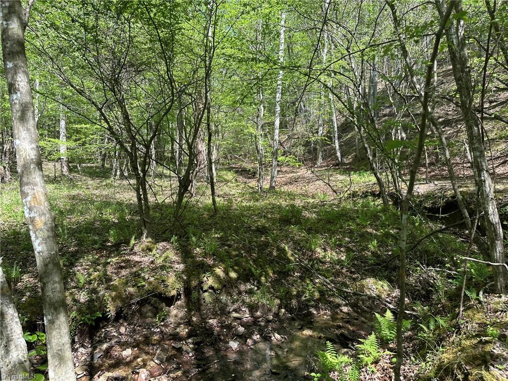 000 Nc Highway 268 Property Photo 19