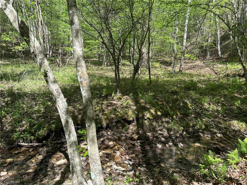 000 Nc Highway 268 Property Photo 20