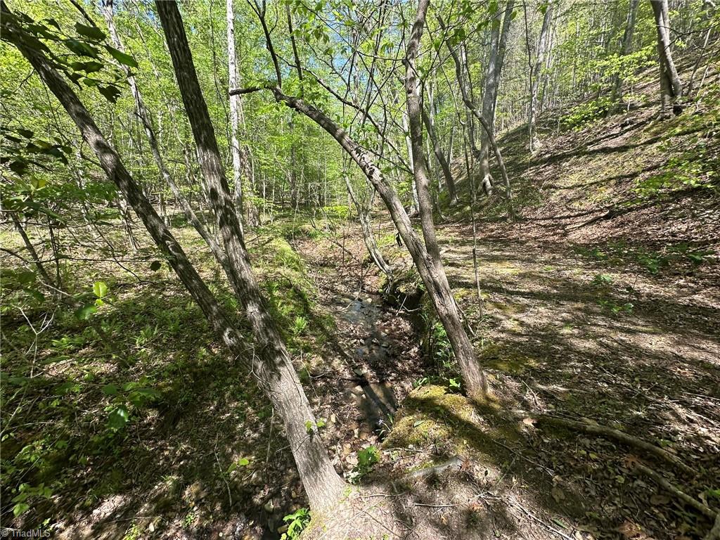 000 Nc Highway 268 Property Photo 21
