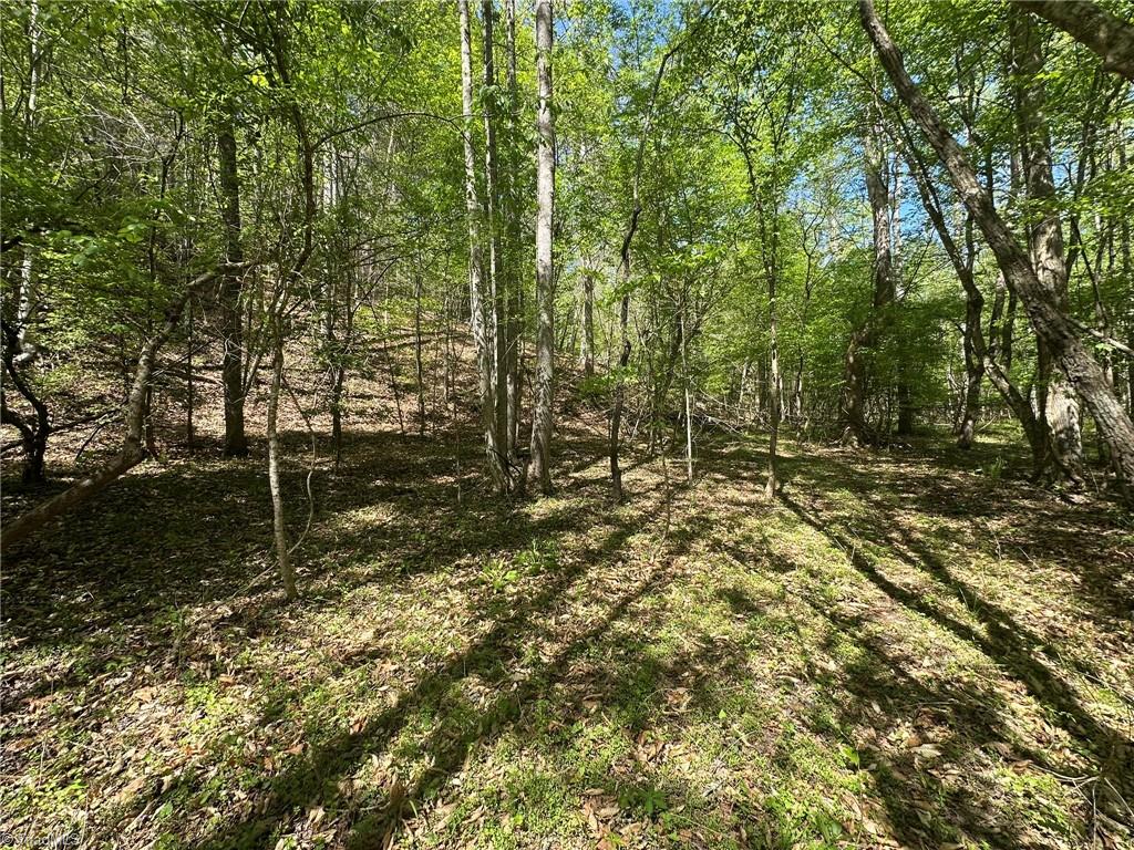 000 Nc Highway 268 Property Photo 22