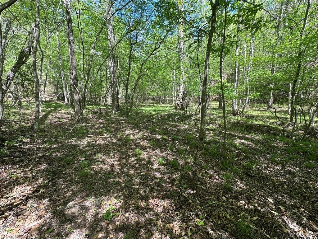 000 Nc Highway 268 Property Photo 23