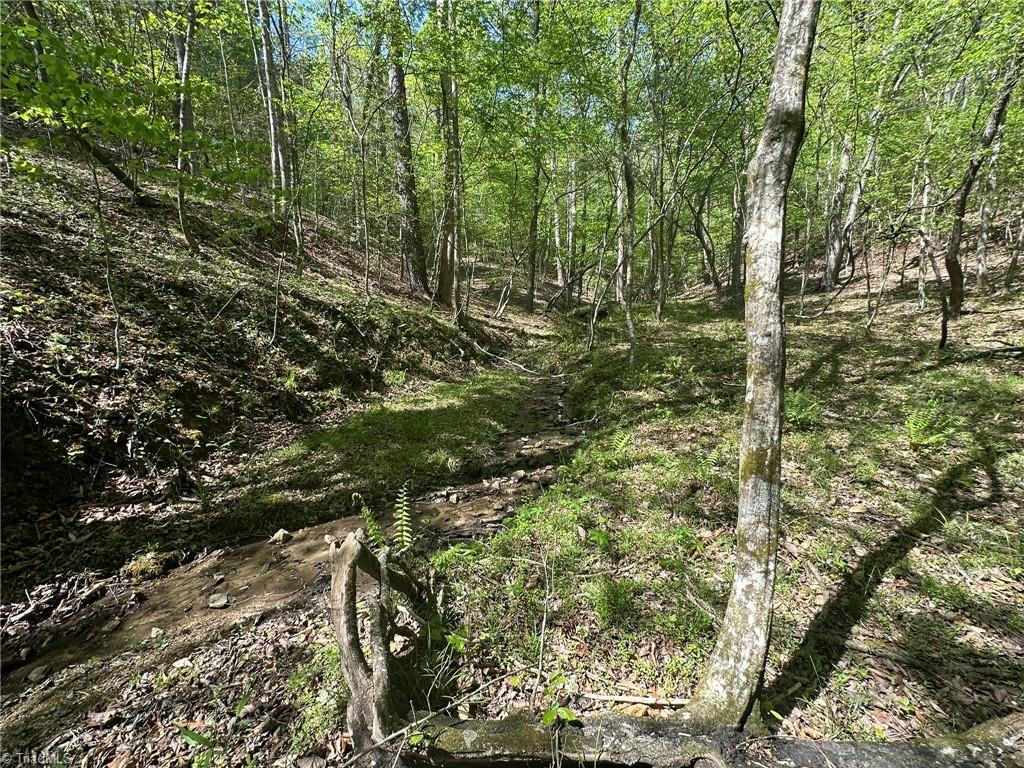 000 Nc Highway 268 Property Photo 24