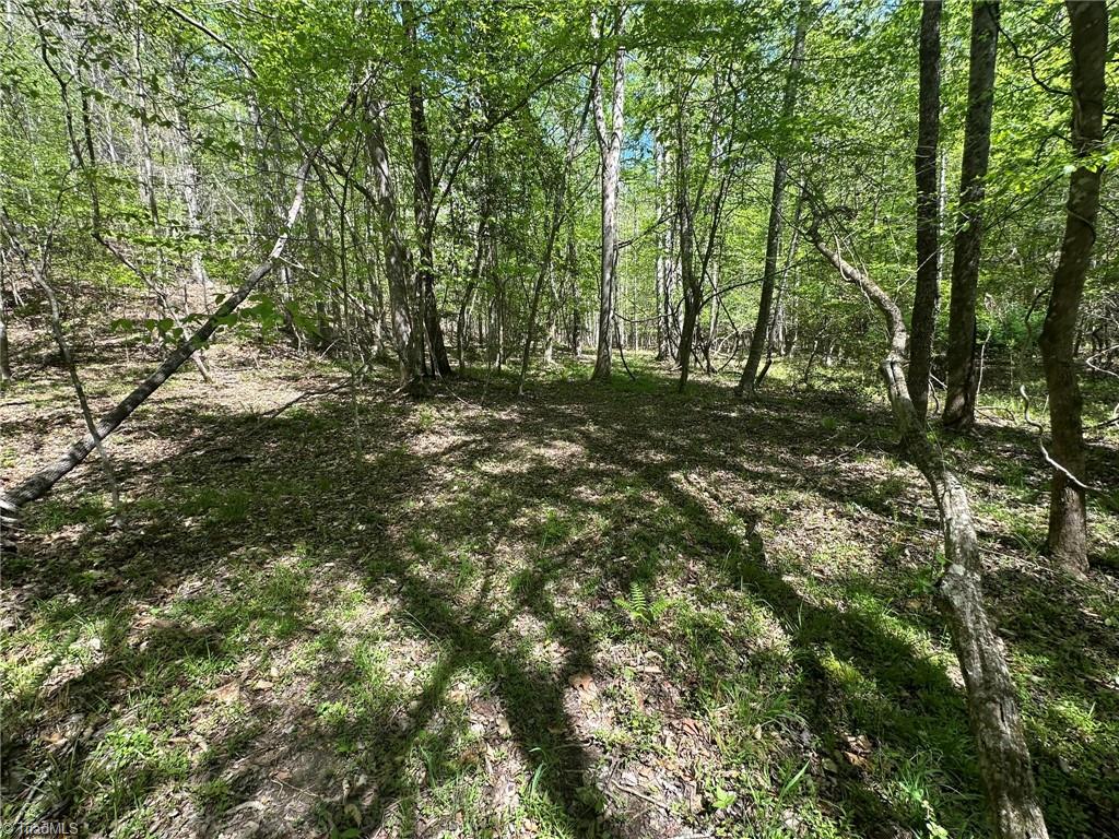 000 Nc Highway 268 Property Photo 25