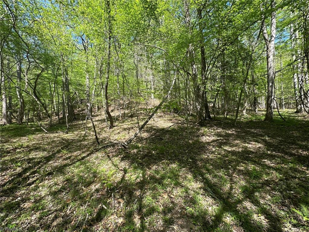 000 Nc Highway 268 Property Photo 26