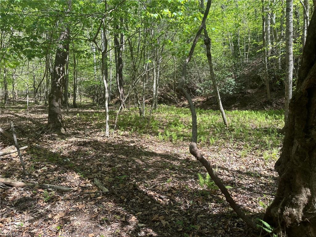 000 Nc Highway 268 Property Photo 28
