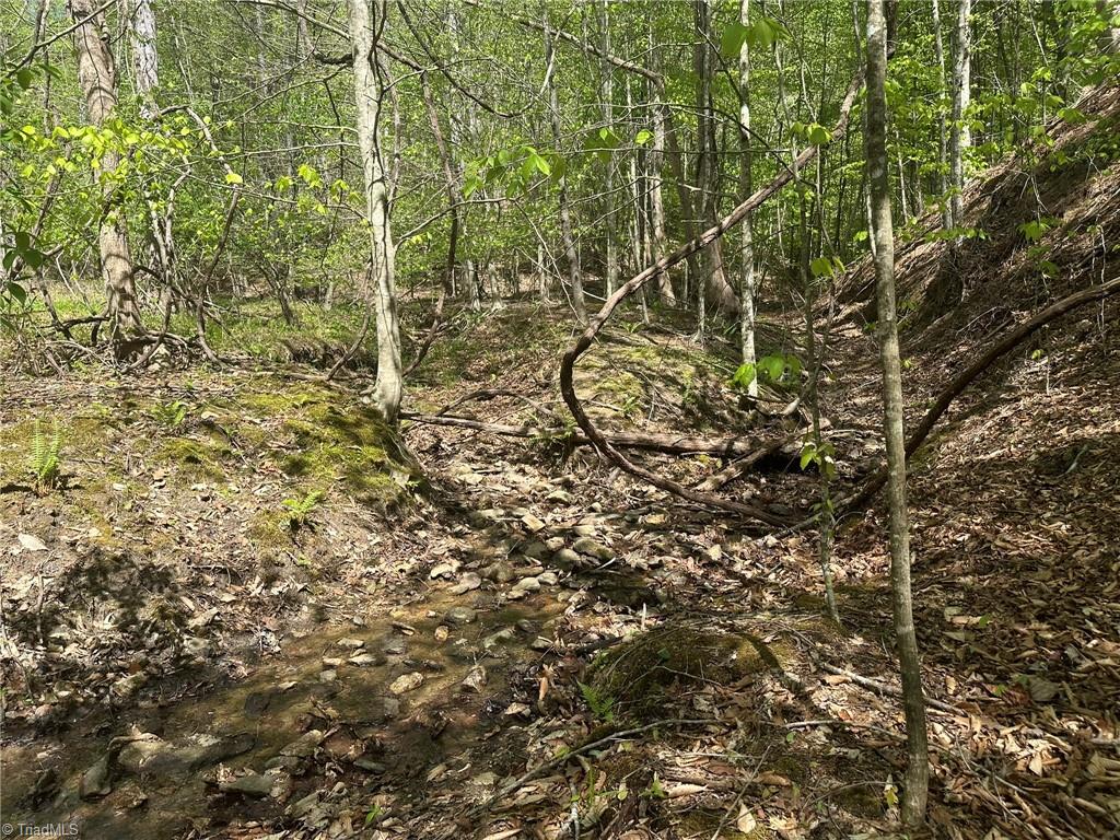 000 Nc Highway 268 Property Photo 29
