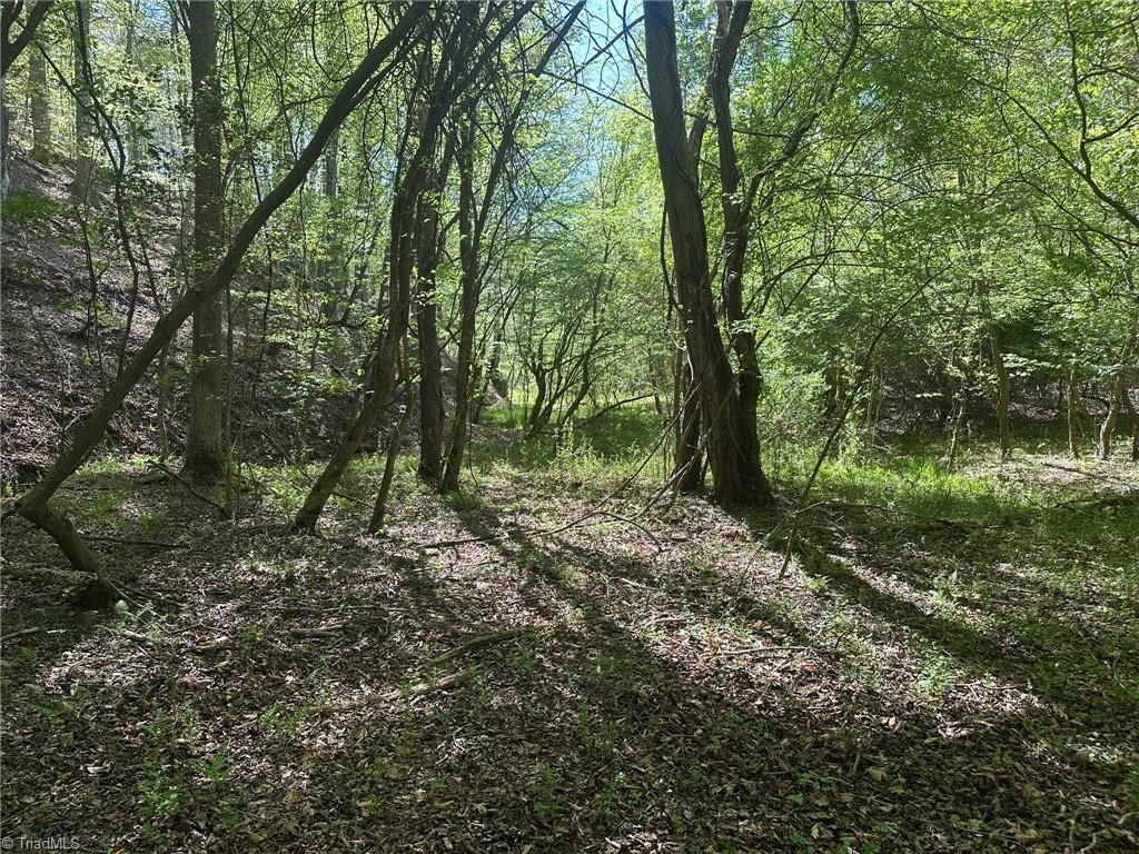 000 Nc Highway 268 Property Photo 30