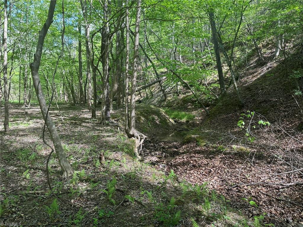 000 Nc Highway 268 Property Photo 31