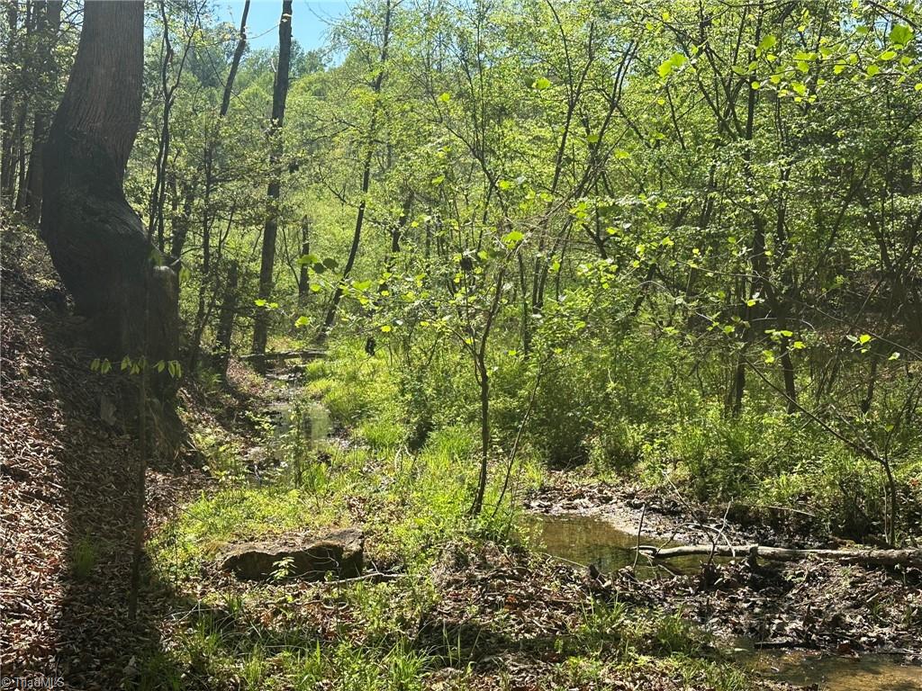 000 Nc Highway 268 Property Photo 32