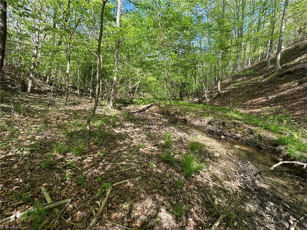 000 Nc Highway 268 Property Photo 34