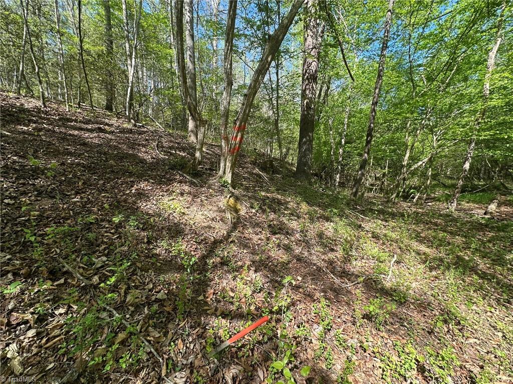 000 Nc Highway 268 Property Photo 35