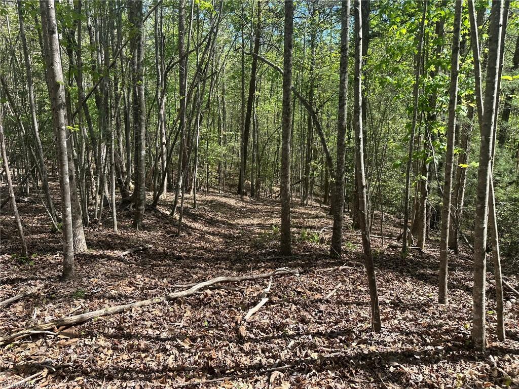 000 Nc Highway 268 Property Photo 37