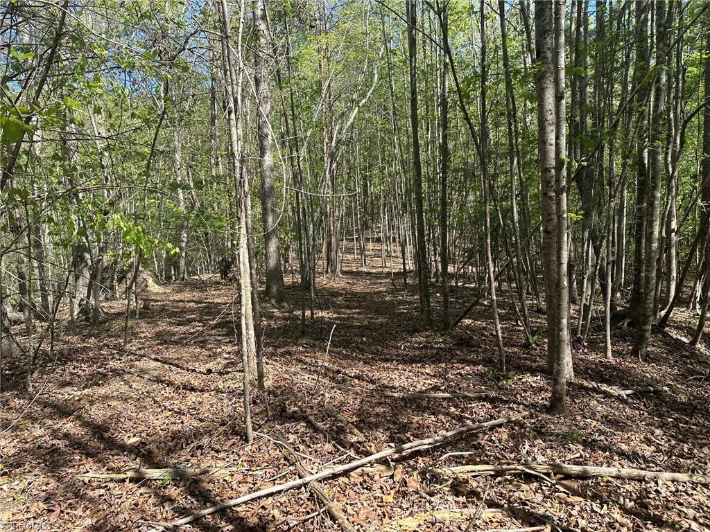 000 Nc Highway 268 Property Photo 38