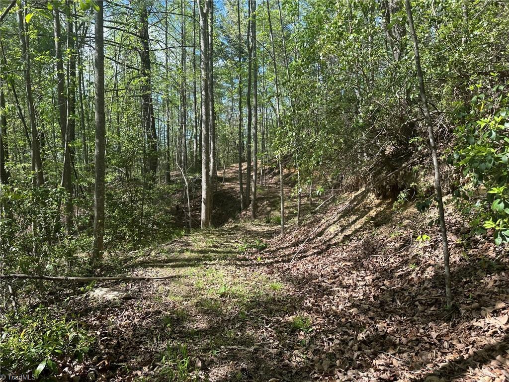 000 Nc Highway 268 Property Photo 39