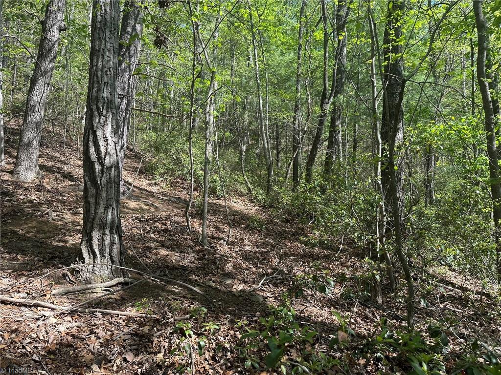 000 Nc Highway 268 Property Photo 40