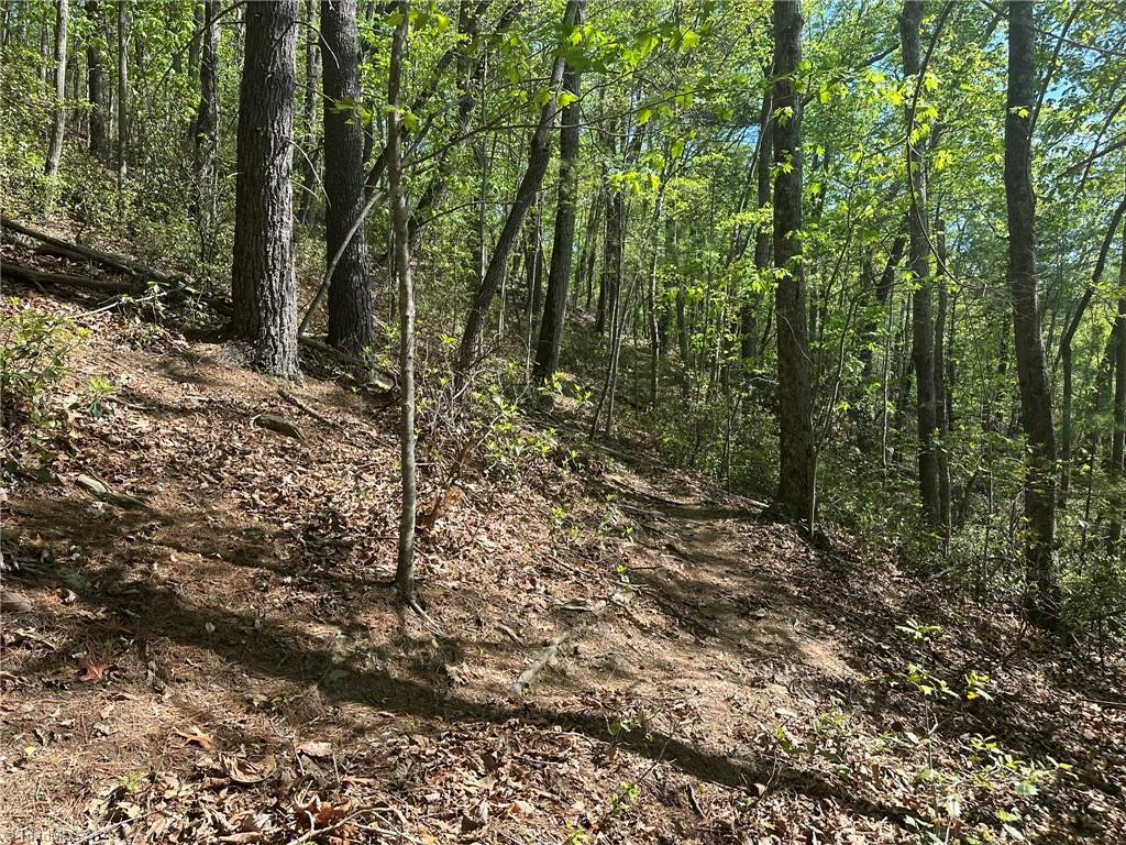000 Nc Highway 268 Property Photo 41